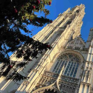 séjour linguistique, Anvers, école LABS, LABS Anvers, cours de néerlandais, immersion, Belgique, langue néerlandaise